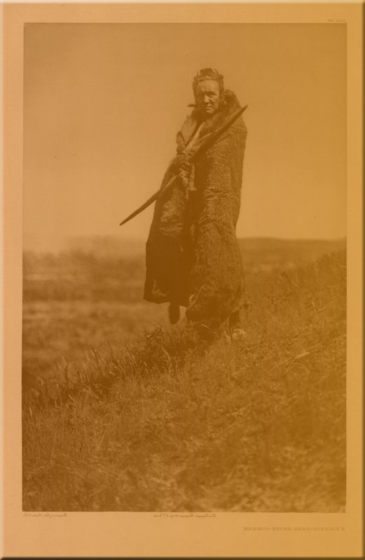 A Grizzly Bear Brave, Plate 198