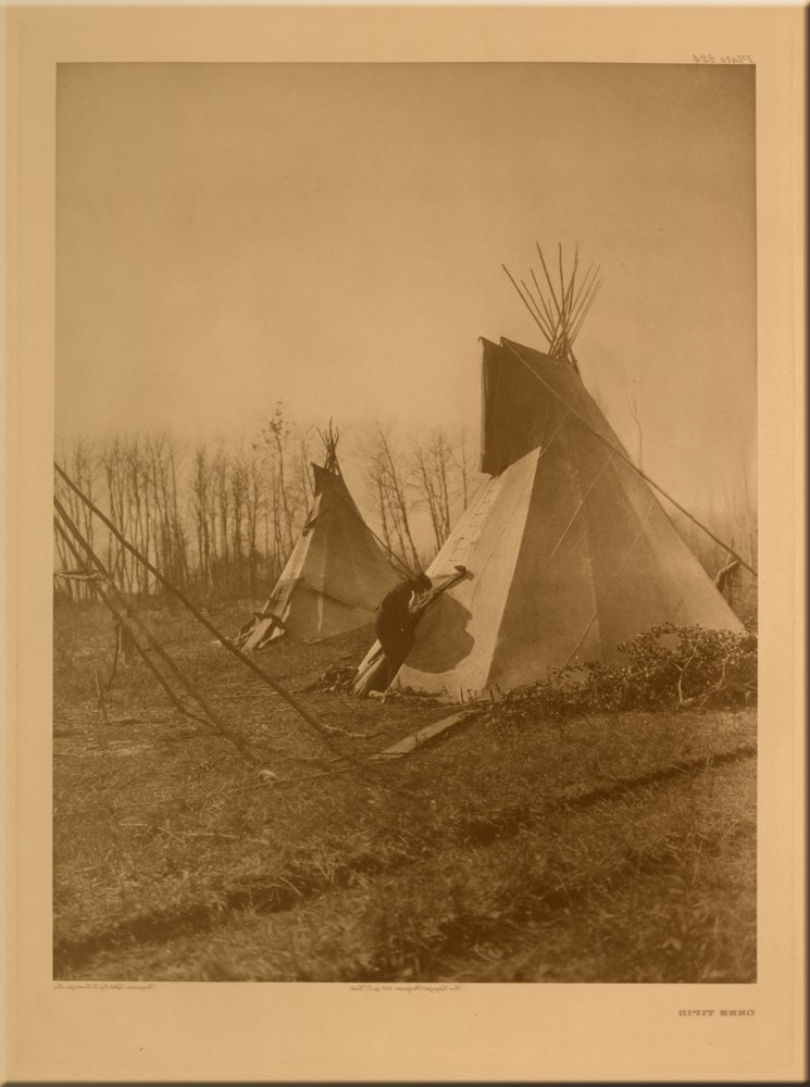 Cree Tipis