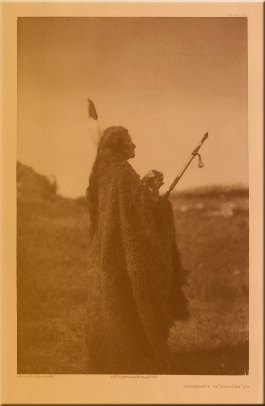 Huka Lowa Pi Ceremony, Plate 90